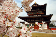 留學(xué)日本傳媒專業(yè)前景如何？